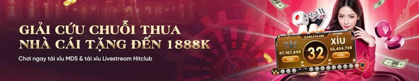 BANNER TX88